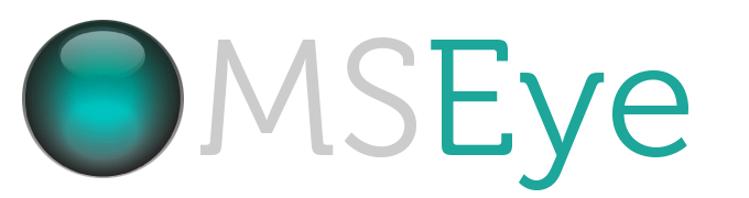 MSEye website design logo 