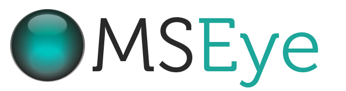 MSeye website design and development team